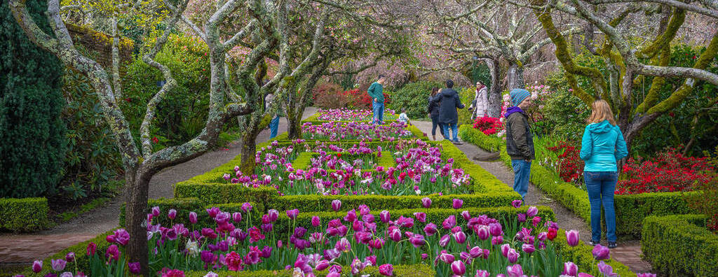 Filoli with Garden Interest Club