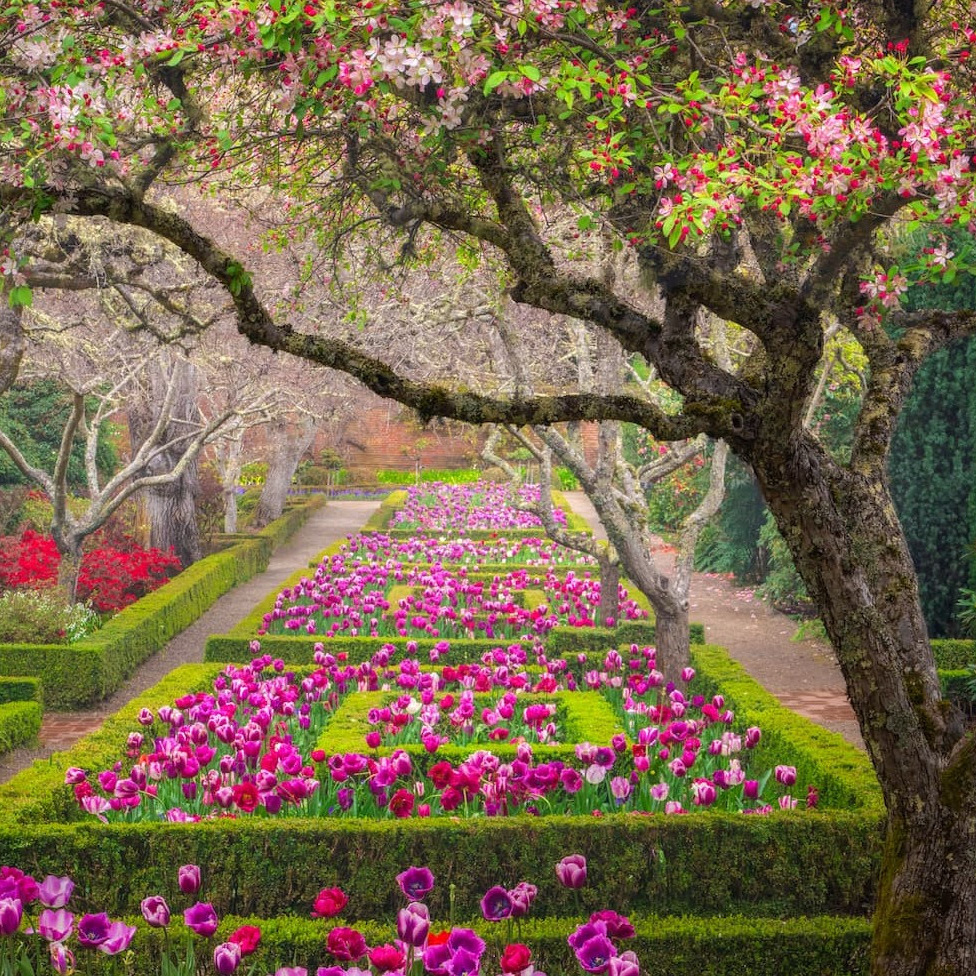 Filoli with Garden Interest Club - logo